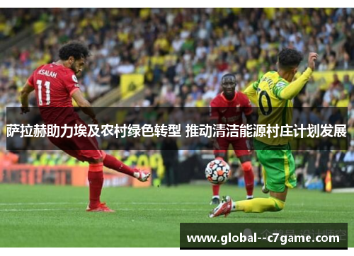 萨拉赫助力埃及农村绿色转型 推动清洁能源村庄计划发展