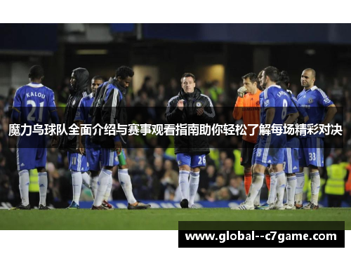 魔力鸟球队全面介绍与赛事观看指南助你轻松了解每场精彩对决 魔力鸟球队全面介绍与赛事观看指南助你轻松了解每场精彩对决