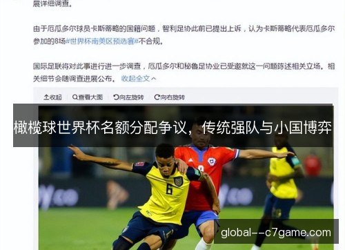 橄榄球世界杯名额分配争议，传统强队与小国博弈